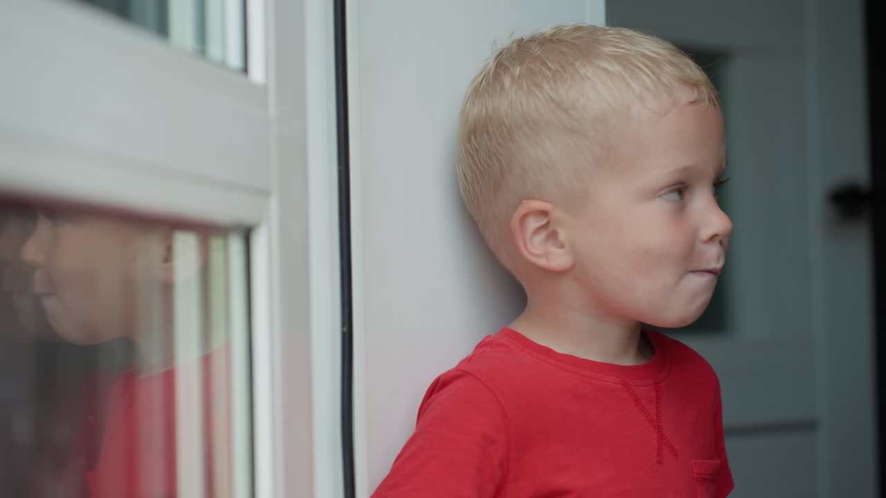 Child Attentively Observes Nearby Environment Outside, Young Kid Carefully Examines Surrounding Outdoor Area Outside, Young Child Patiently And Attentively Watches Outdoor Landscape In Yard