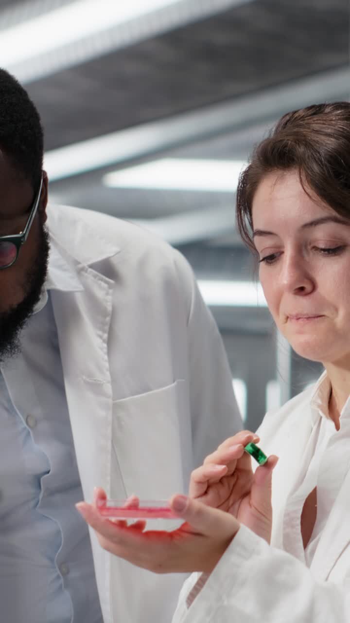 Vertical video Multiethnic team of researchers doing brainstorming, looking at petri dish