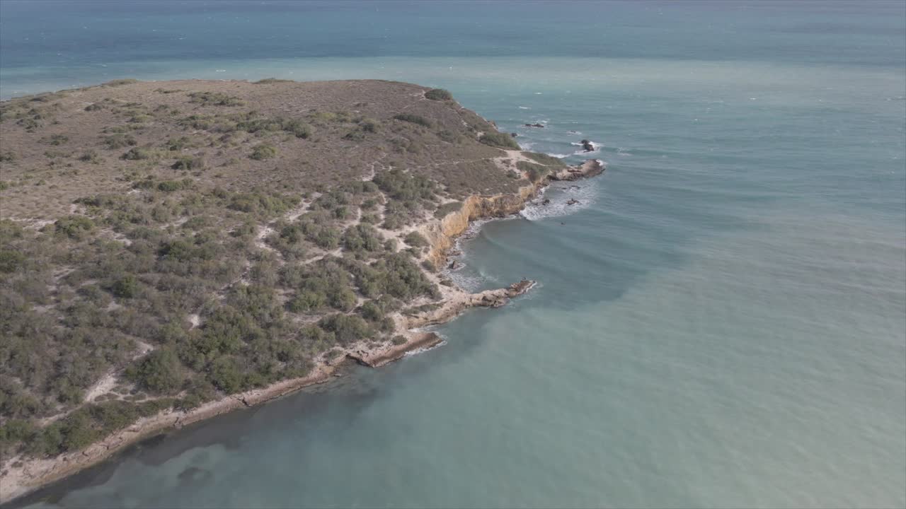 olas espumosas del mar salpicando en la costa rocosa a la luz del sol