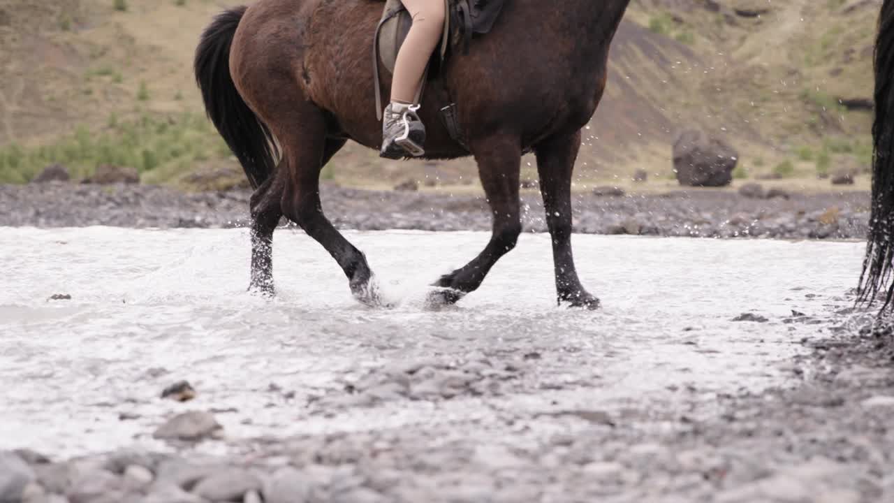 tour a caballo atravesando un río glacial poco profundo salpicando agua, islandia