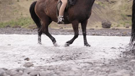 horse tour going through shallow glacial river splashing water, iceland