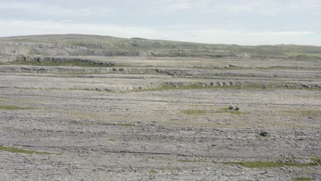 Aerial:-Shattered-karst-bedrock-of-The-Burren-on-west-Ireland-coast