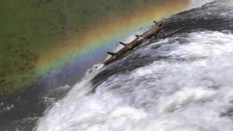 Toma-Fija-De-Una-Rama-Colgada-En-La-Cascada-De-La-Mesa-Superior-Y-Un-Arco-Iris-Sobre-Ella