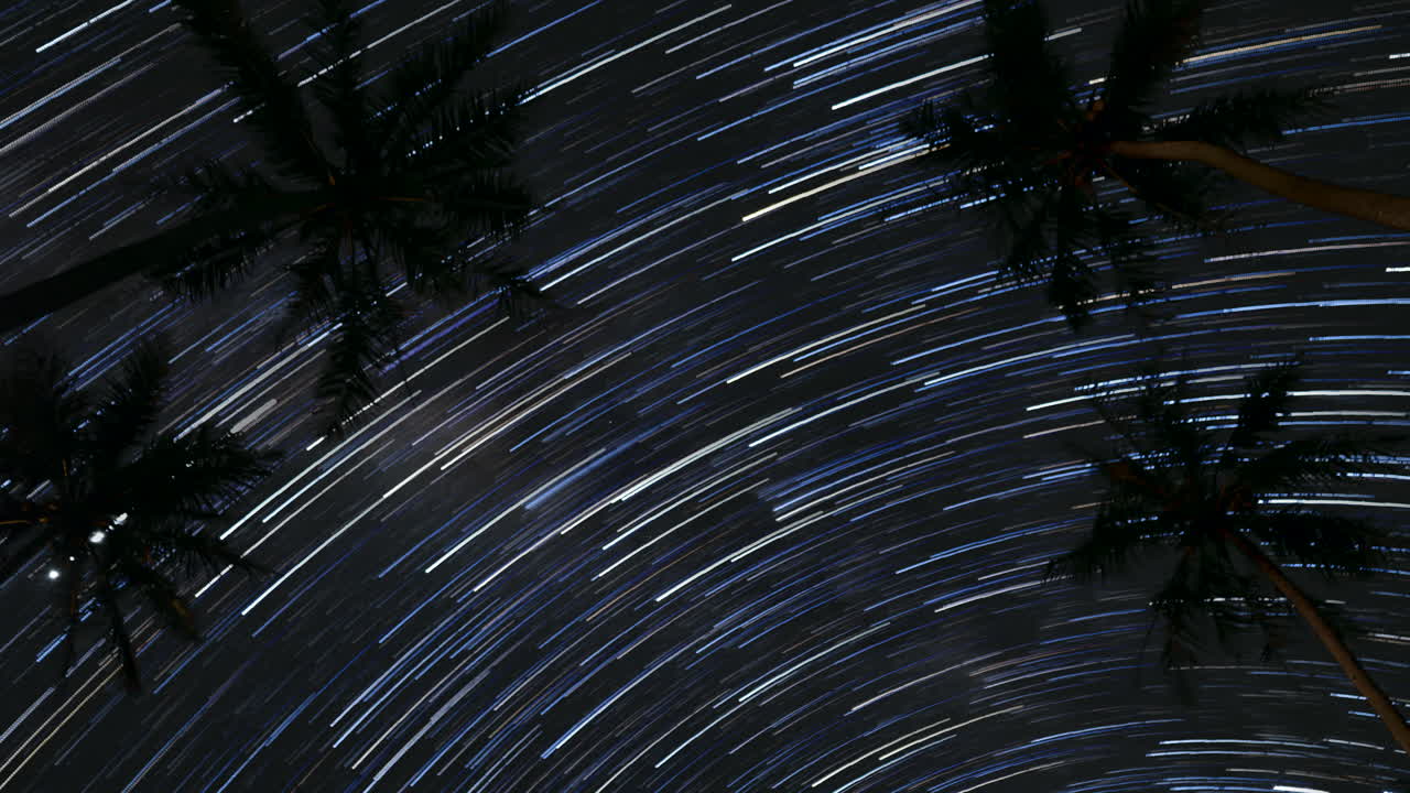 소나무 섬의 스타 트레일 타임랩스에 대해 윤곽을 잡고 불을 밝힌 야자수