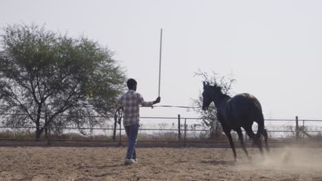 a south asian man walking horse in barn field on a sunny day