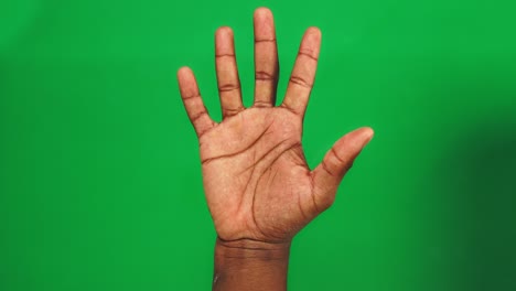 3 gestures of body language countdown timer or counting number with black male hands shown on green