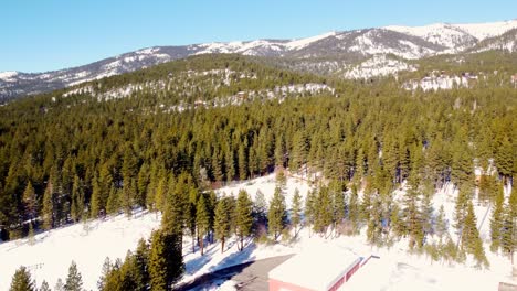 aerial drone shot, flying over the woods towards the snowy mountains in lake tahoe, nevada-california