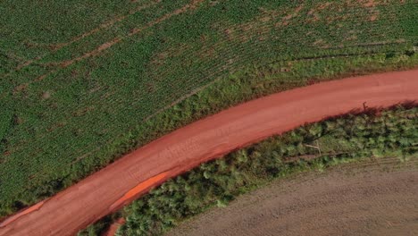 a red dirt road through a farm made possible by deforestation of the brazilian savannah - ascending aerial view