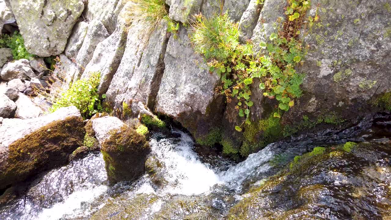 Mountain stream running over big rocks. Green vegetation, moss, clean water. Summer in Pirin national park. Slow motion, pan left.