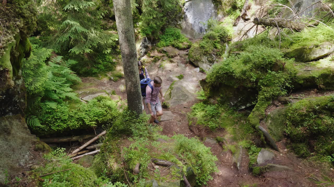 una pareja joven y atractiva está caminando por el bosque haciendo senderismo y un estilo de vida activo