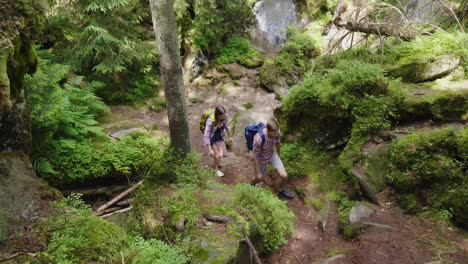 young attractive couple is walking in the forest hiking and active lifestyle