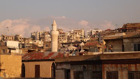 birds-flying-around-minaret-at-sunset-above-middle-eastern-village-in-Tripoli,-Northern-Lebanon