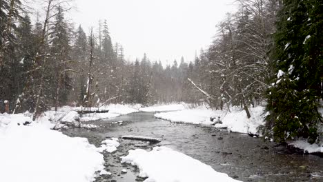 Ein-Kleiner,-Flacher-Fluss-Fließt-Während-Eines-Schneesturms-Durch-Einen-Wald