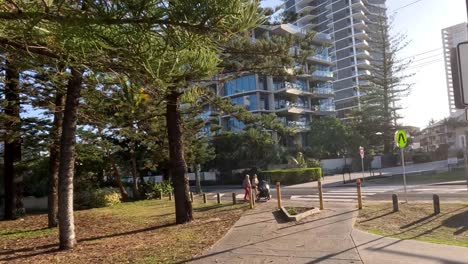 cyclist traversing a tree-lined urban path