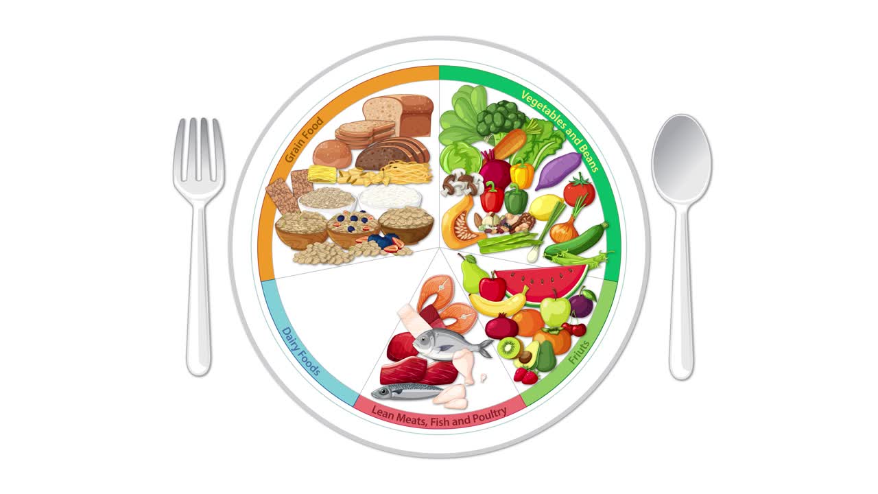 Animated sequence builds a balanced food group plate, adding illustrated foods and utensils, ending with a full glass of water. Clean, educational style