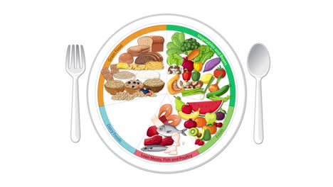 animated sequence builds a balanced food group plate, adding illustrated foods and utensils, ending with a full glass of water. clean, educational style