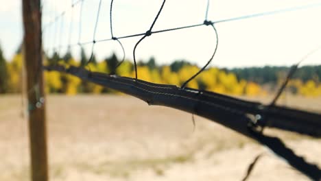 Net-Sport---Close-Up-Of-Old-Net-For-Sports-At-An-Outdoor-Court