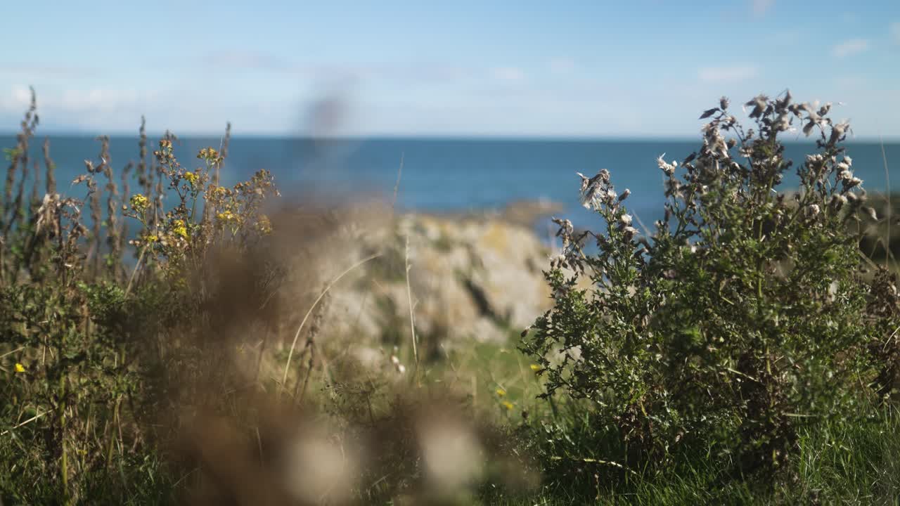 아일랜드 클로거헤드 항구