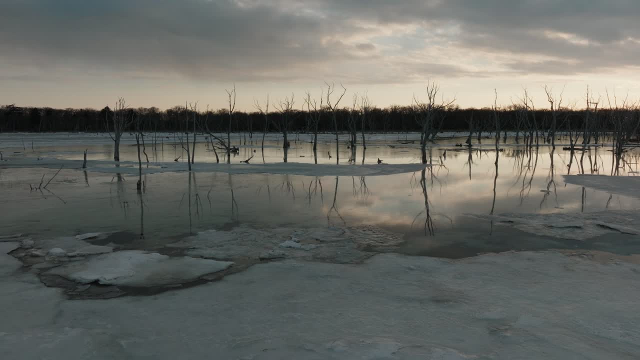 Frozen Wetland With Leafless Tree Woods At Dusk On Notsuke Peninsula, Hokkaido, Japan. orbiting shot