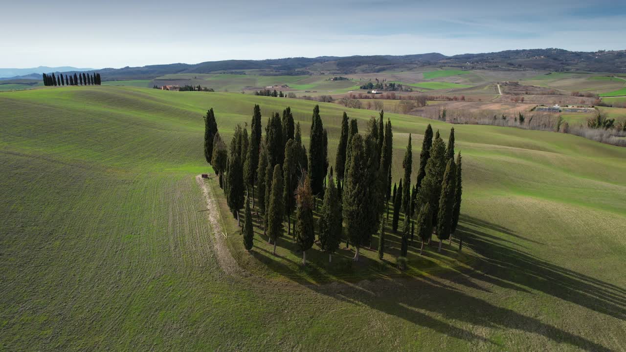 grupo de cipreses en la toscana cerca de san quirico d'orcia. vista aérea circular de cipresos en el valle de orcia, italia