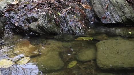 El-Agua-Corre-Hacia-Una-Piscina-De-Arroyo-Con-Rocas-Y-Hojas