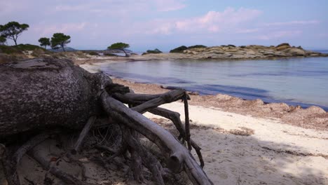 The-famous-Karidi-beach-during-spring-time-with-very-calm-water-in-Vourvourou-Chalkidiki-Greece