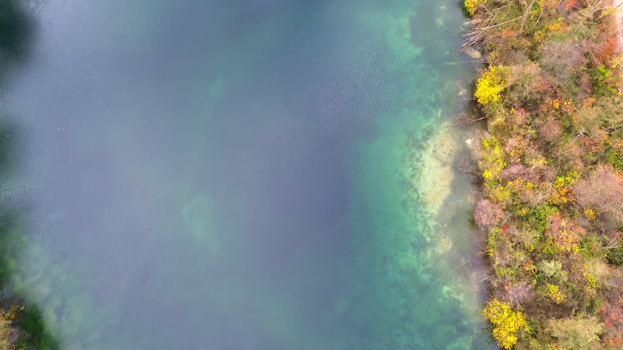 Imágenes aéreas de dron 4K de la orilla de un lago otoñal