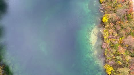 aerial drone footage 4k of autumn lake shoreline