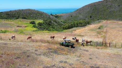 aerial of ranchers visiting with horses grazing on a ranch or farm with ocean background near santa barbara california