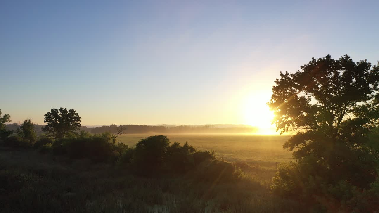 el amanecer sobre un prado brumoso