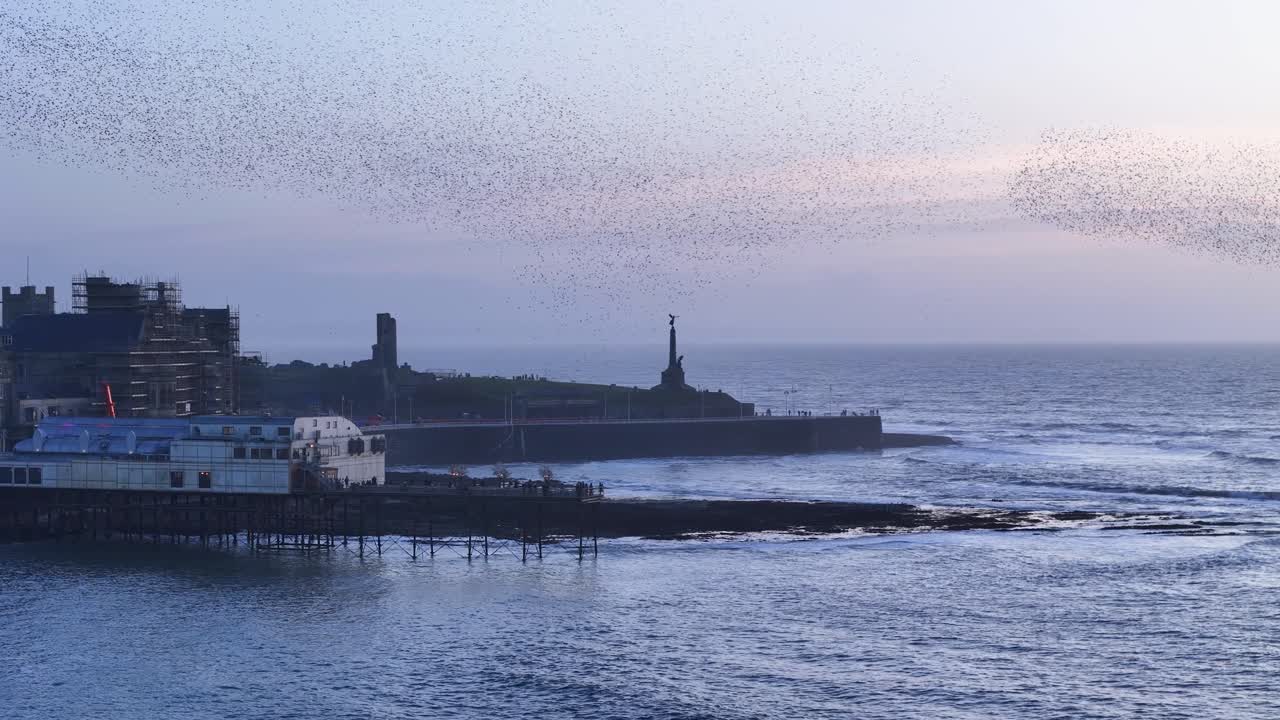 Stunning drone footage of thousands of starlings murmurating over Aberystwyth Pier, creating mesmerizing aerial patterns against the coastal sunset in a breathtaking natural spectacle.