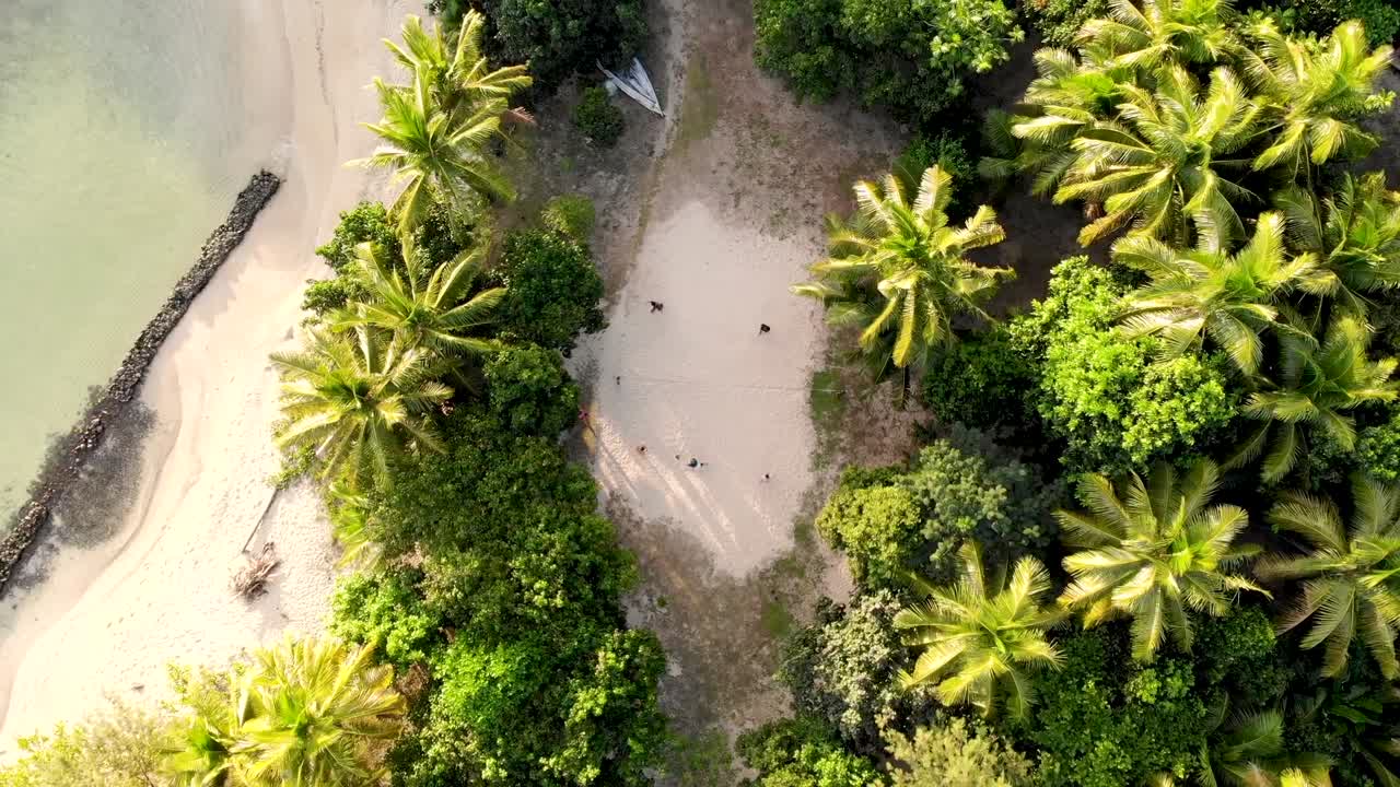 Children Playing Beach Volleyball on a Tropical Island