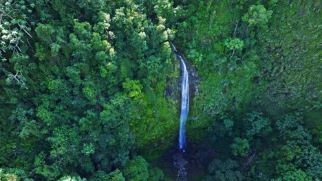 gigantic steep waterfall in the caribbean rainforest jungle, aerial orbit