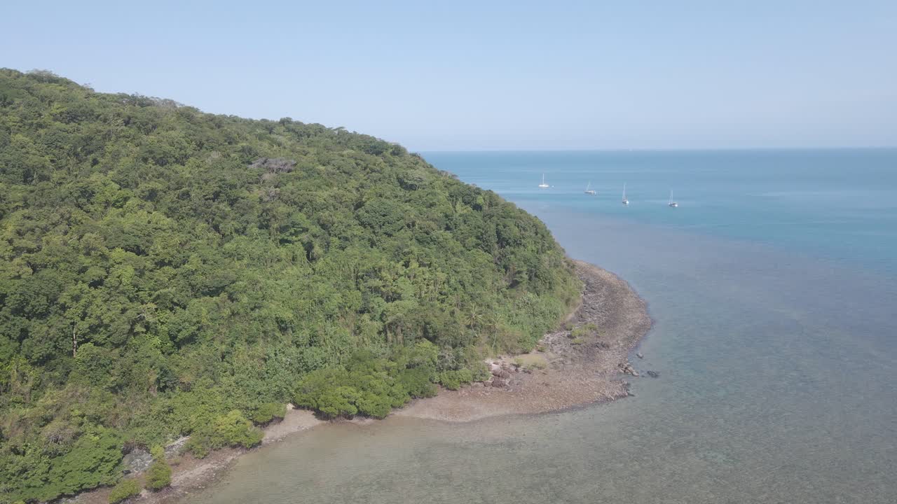 Fitta vegetazione e spiaggia idilliaca sull'Isola Snapper, Queensland, Australia - ripresa aerea con drone.