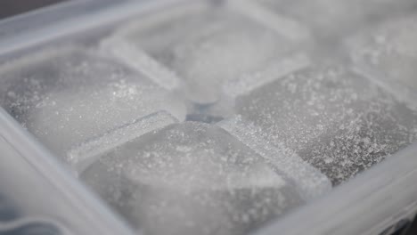 ice cubes in a plastic ice tray