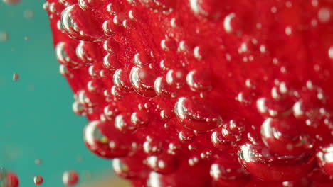 red petal with bubbles