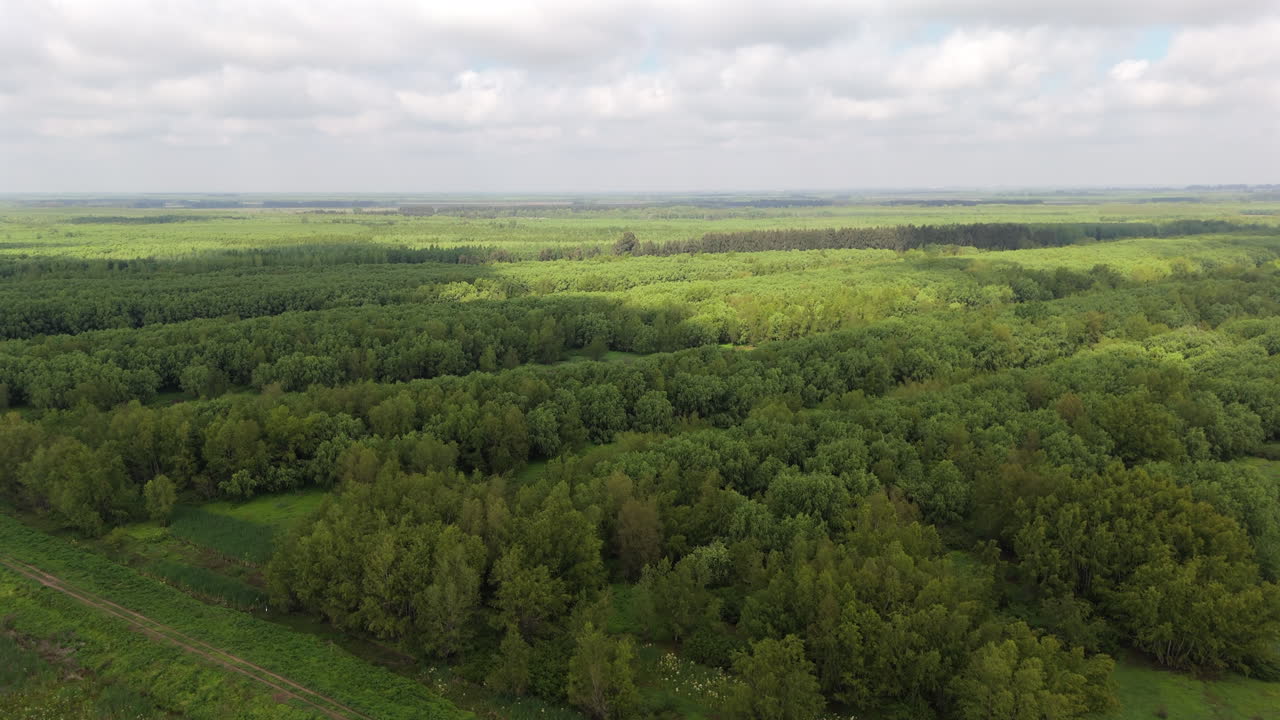 Drone view of dense green forest stretching across the Paraná Delta captured on a partly cloudy day