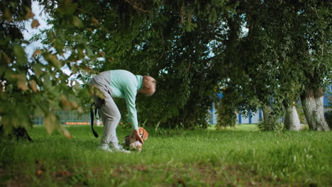 coach trains obedient beagle dog how to lie down on grassy field surrounded by lush trees during outdoor pet training session, demonstrating patience, discipline, and strong human animal bond