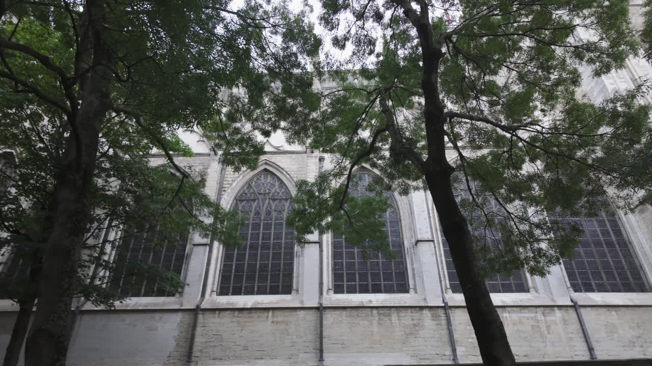 Gothic windows of St. Michael and St. Gudula Cathedral in Brussels, Belgium, framed by trees
