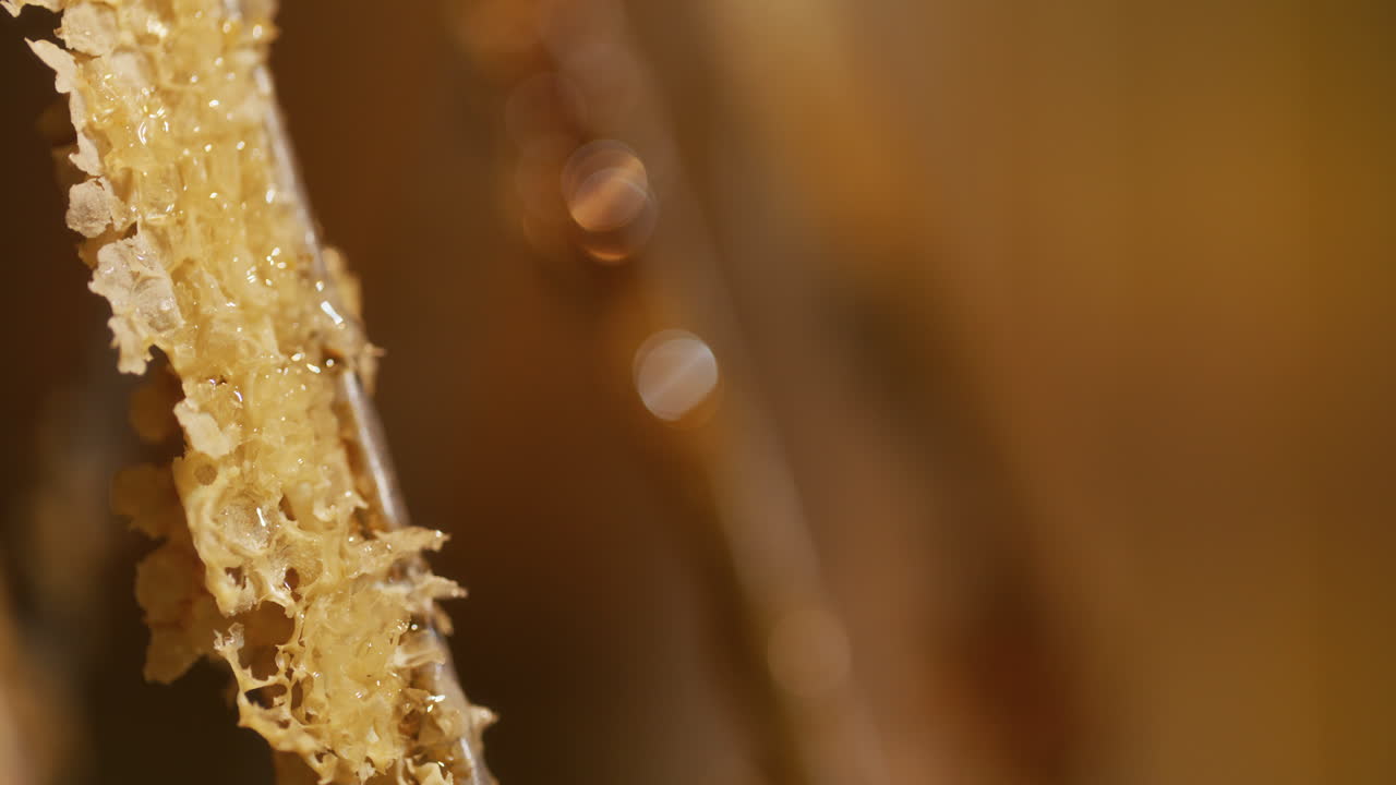 el apicultor quita la cera con una espátula