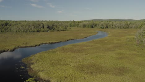 Landschaft-Luft-Union-Fluss-Schlängelt-Sich-Durch-Wald-In-Die-Ferne