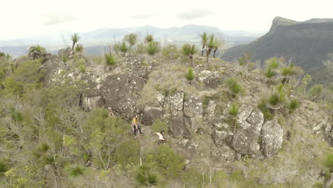 4k drone shot of hikers walking on the side of a mountain cliff at border ranges national park, new south wales australia