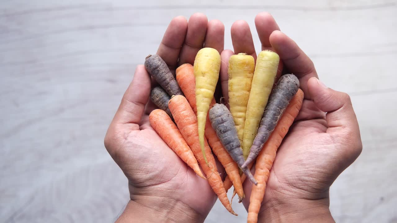 zanahorias de colores en las manos