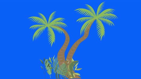 palm tree moving by wind, chroma key, seamless loop animation