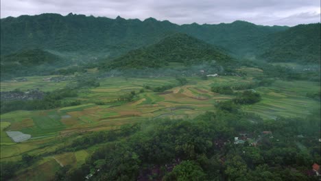 Pintoresco-Paisaje-De-Terraza-De-Arroz-Bali-Con-Niebla-De-Montaña-Matutina,-Vista-Aérea-De-Drones