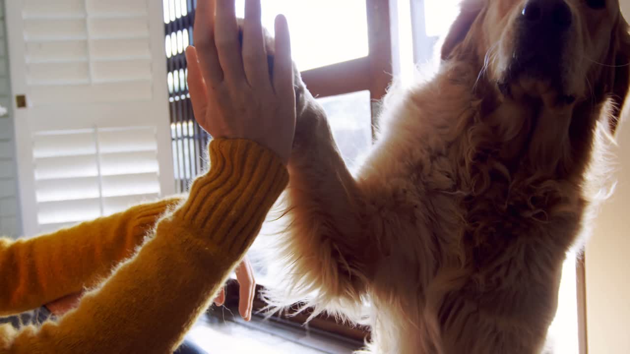 아름다운 여자가 하이 파이브를 주고 그녀의 개 4k를 키스