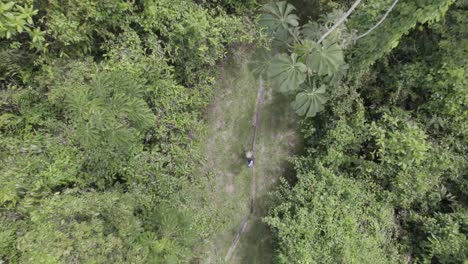 Amazonas-Regenwald-Mit-Einer-Person,-Die-Tagsüber-Wandert