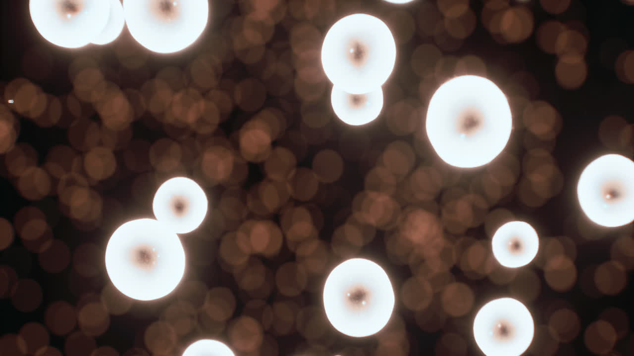 Soft glowing orbs create a magical atmosphere in an evening setting