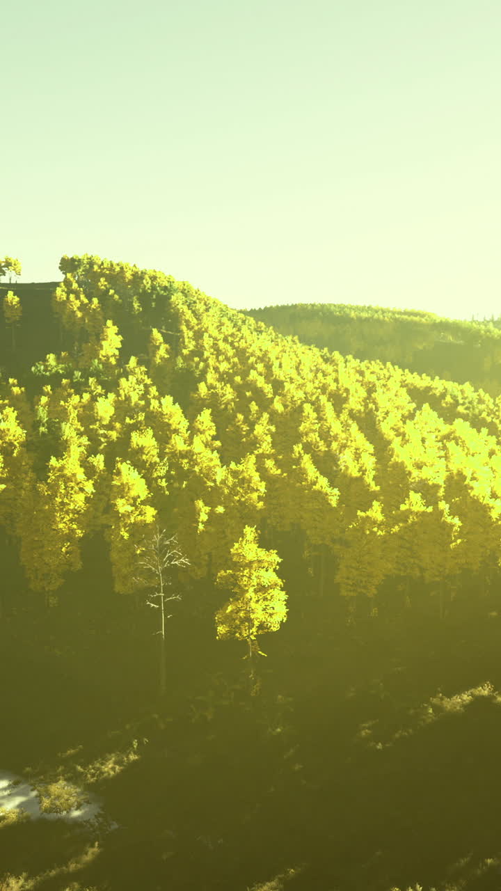 Breathtaking sunrise illuminates lush green hills and tranquil forests