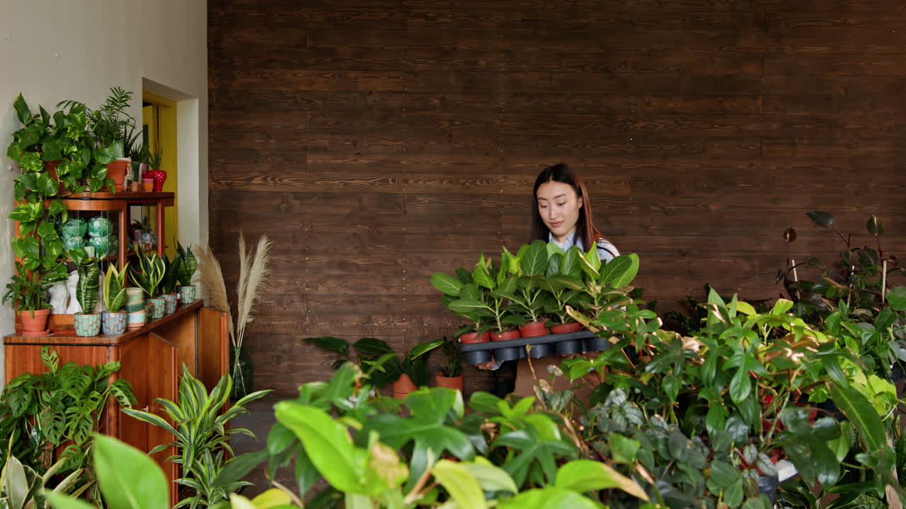 식물 가게 에서 일 하는 여자